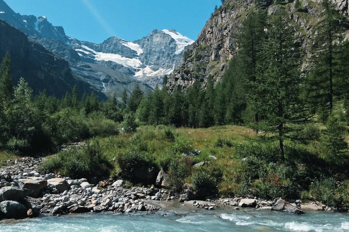 Torrente, bosco e montagne