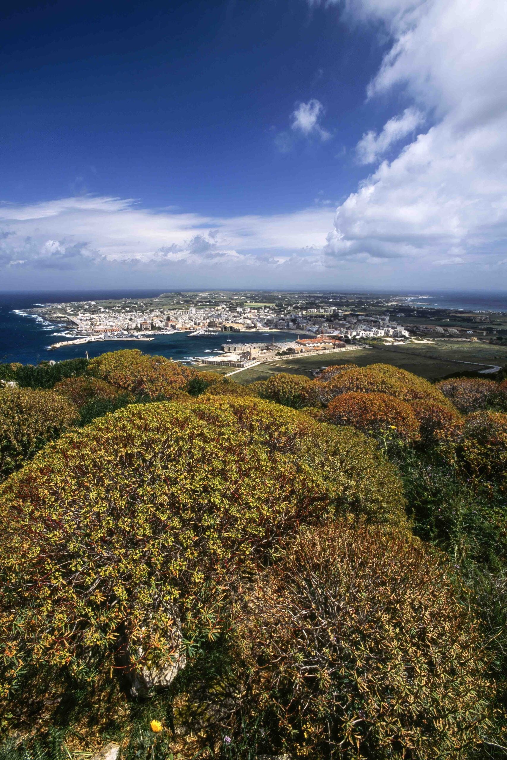 Vista di favignana dal-Forte di santa caterina