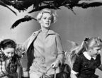 Tippi Hedren nel film "Uccelli" del 1963