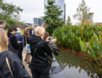 Visita guidata alla collezione botanica della Biblioteca degli Alberi Milano